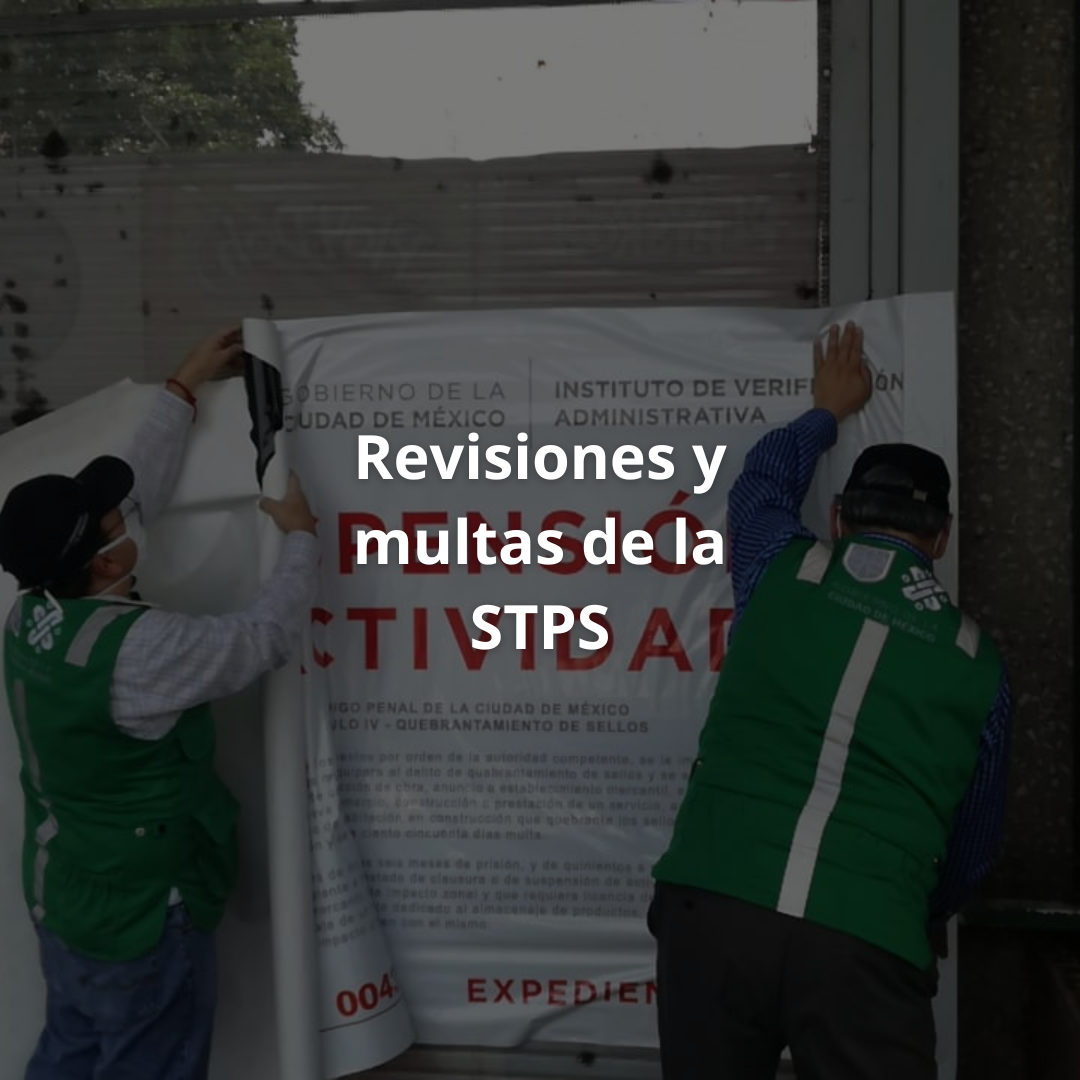 Slide 6