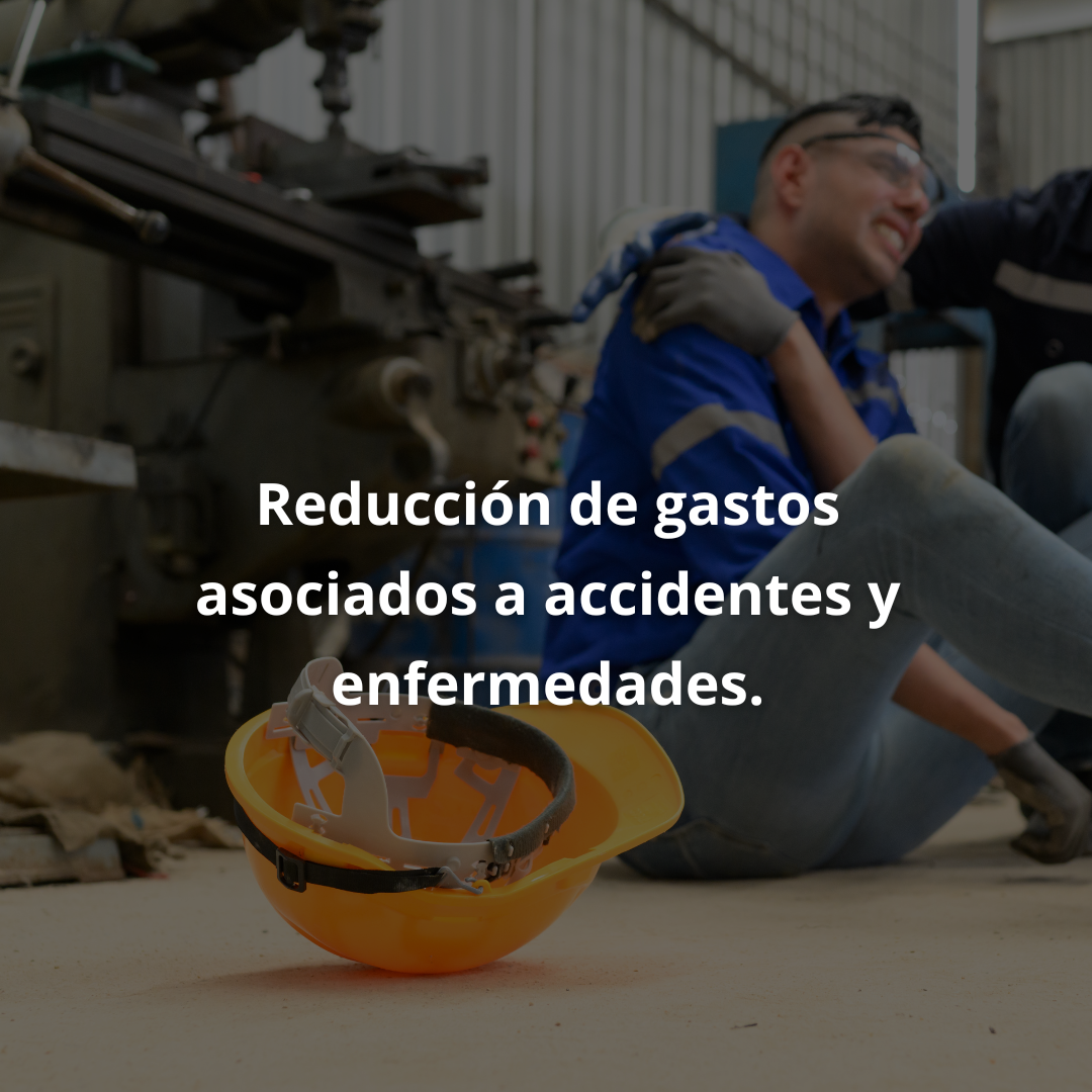 Slide 6