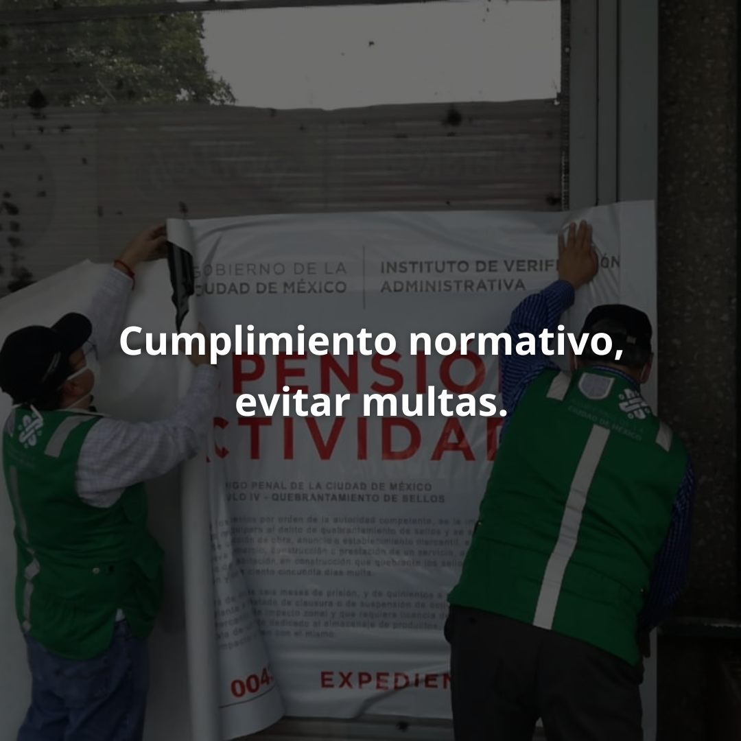 Slide 7