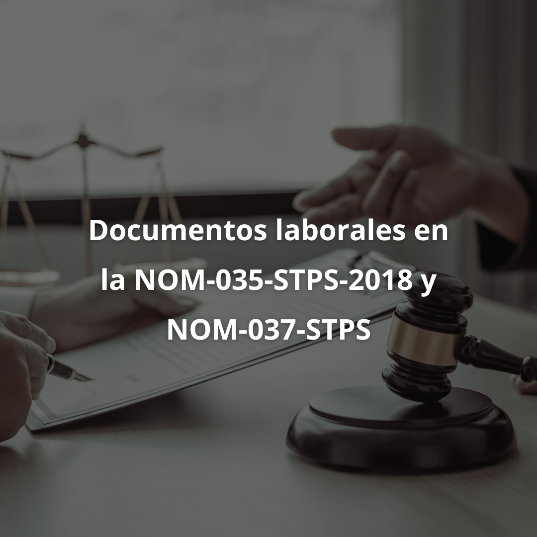 Slide 7