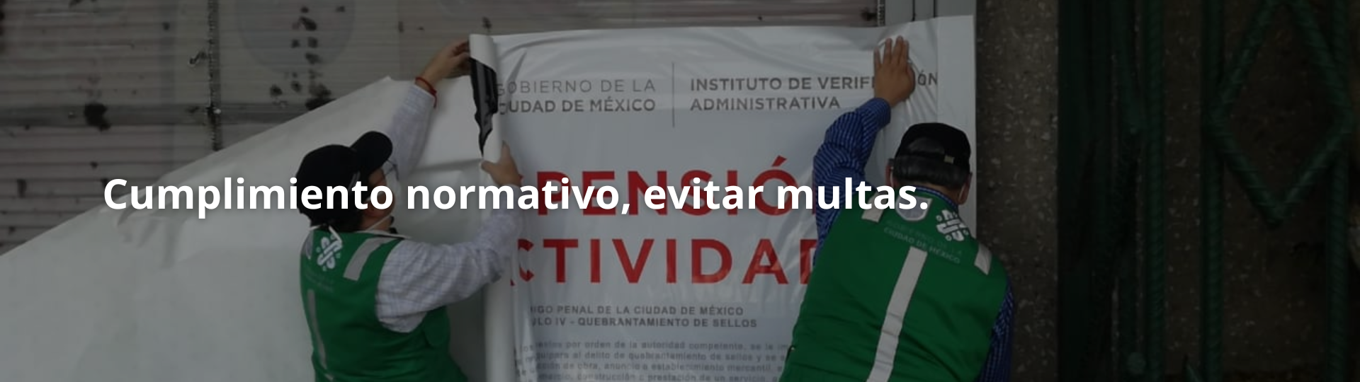 Slide 7
